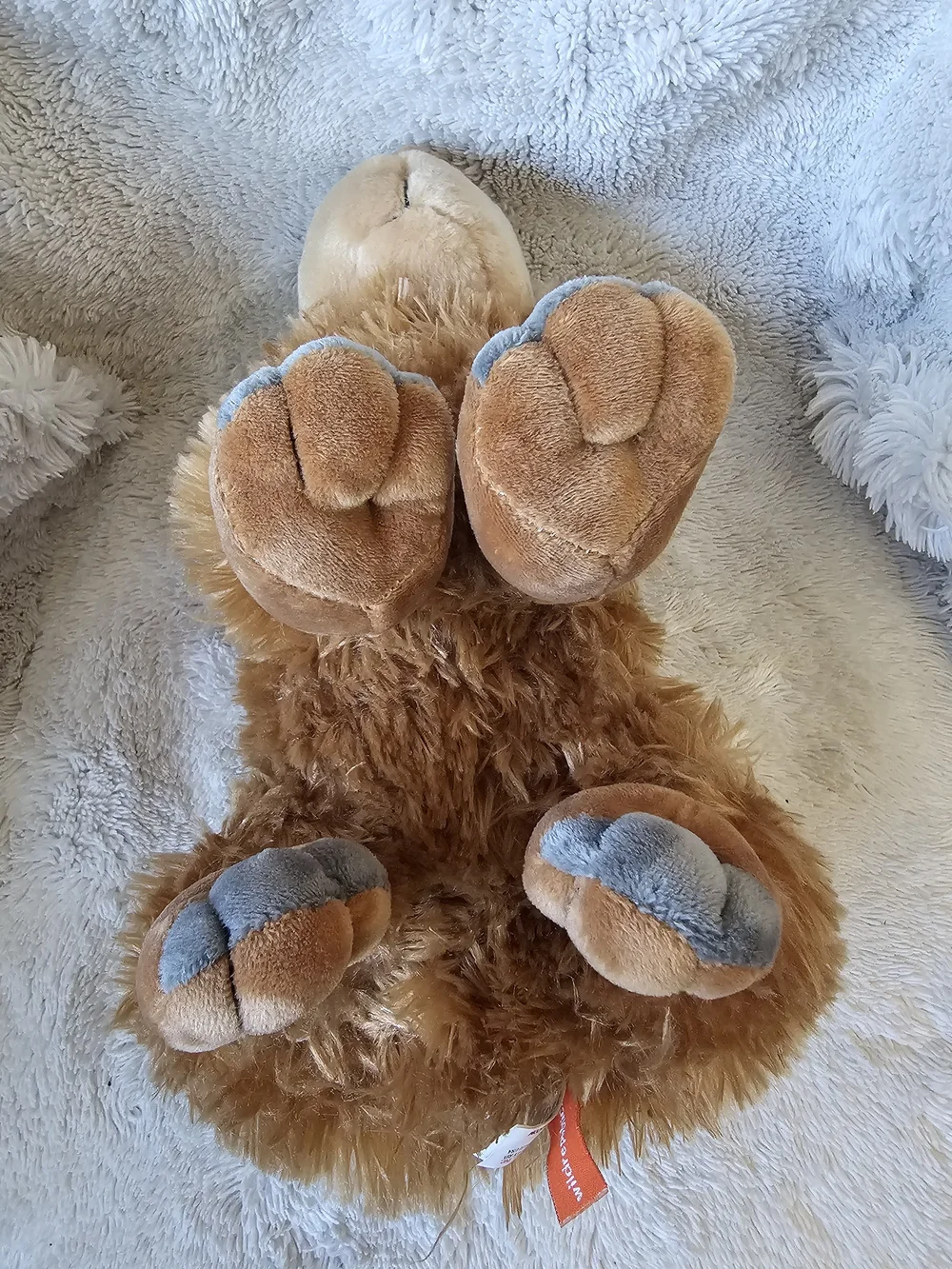 Wild Republic Cuddlekins Capybara Stuffed Animal 12